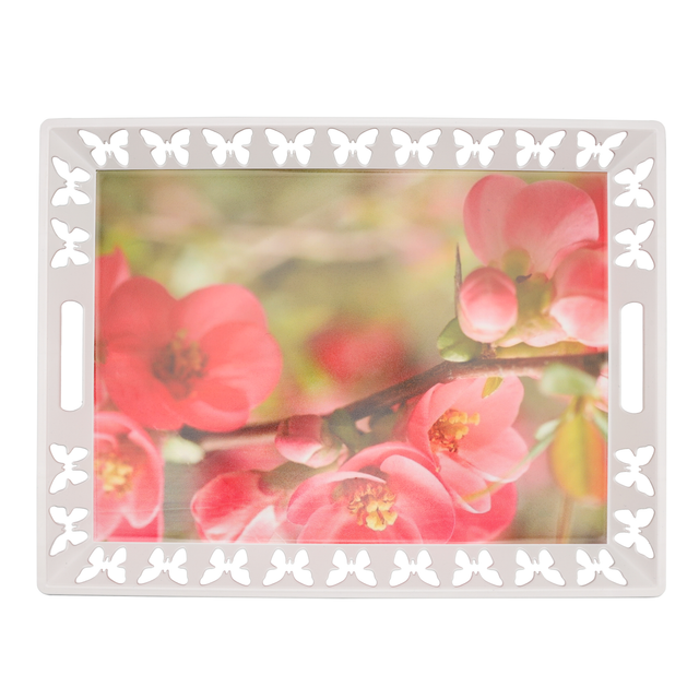 Rectangular Butterfly Tray-Elegant and Sleek Design with Durable and Long-Lasting Construction