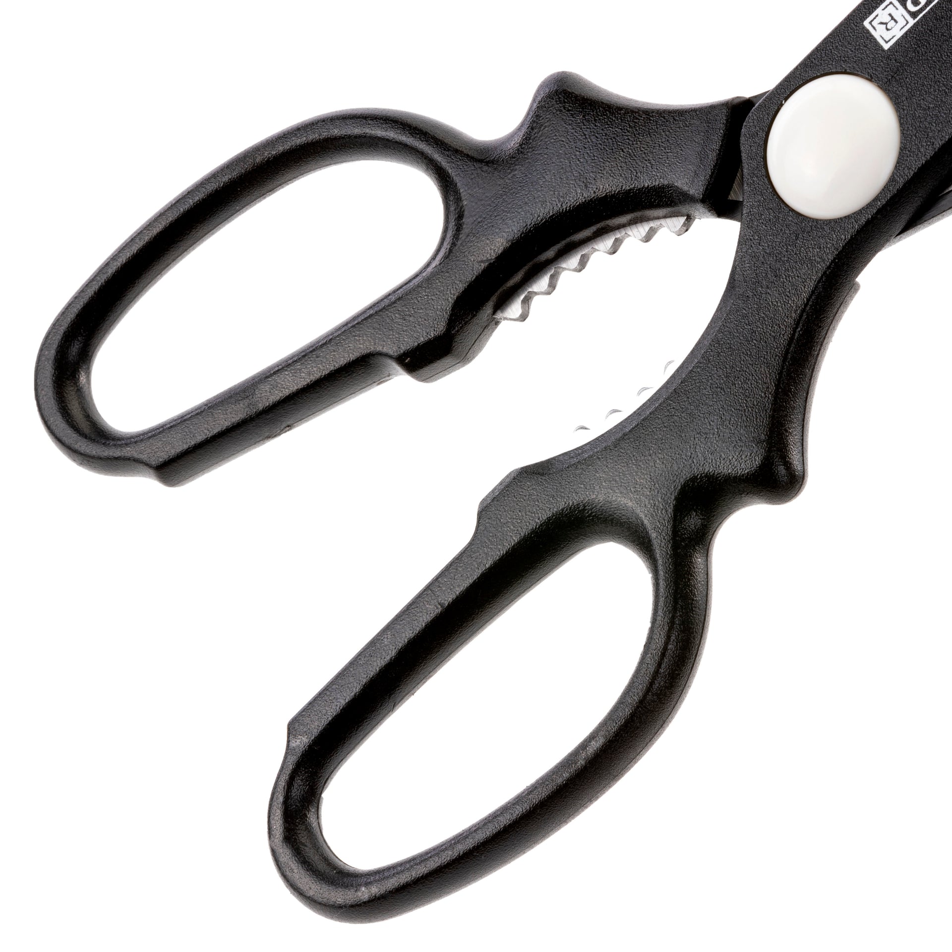 Kitchen Scissors Assorted Colour