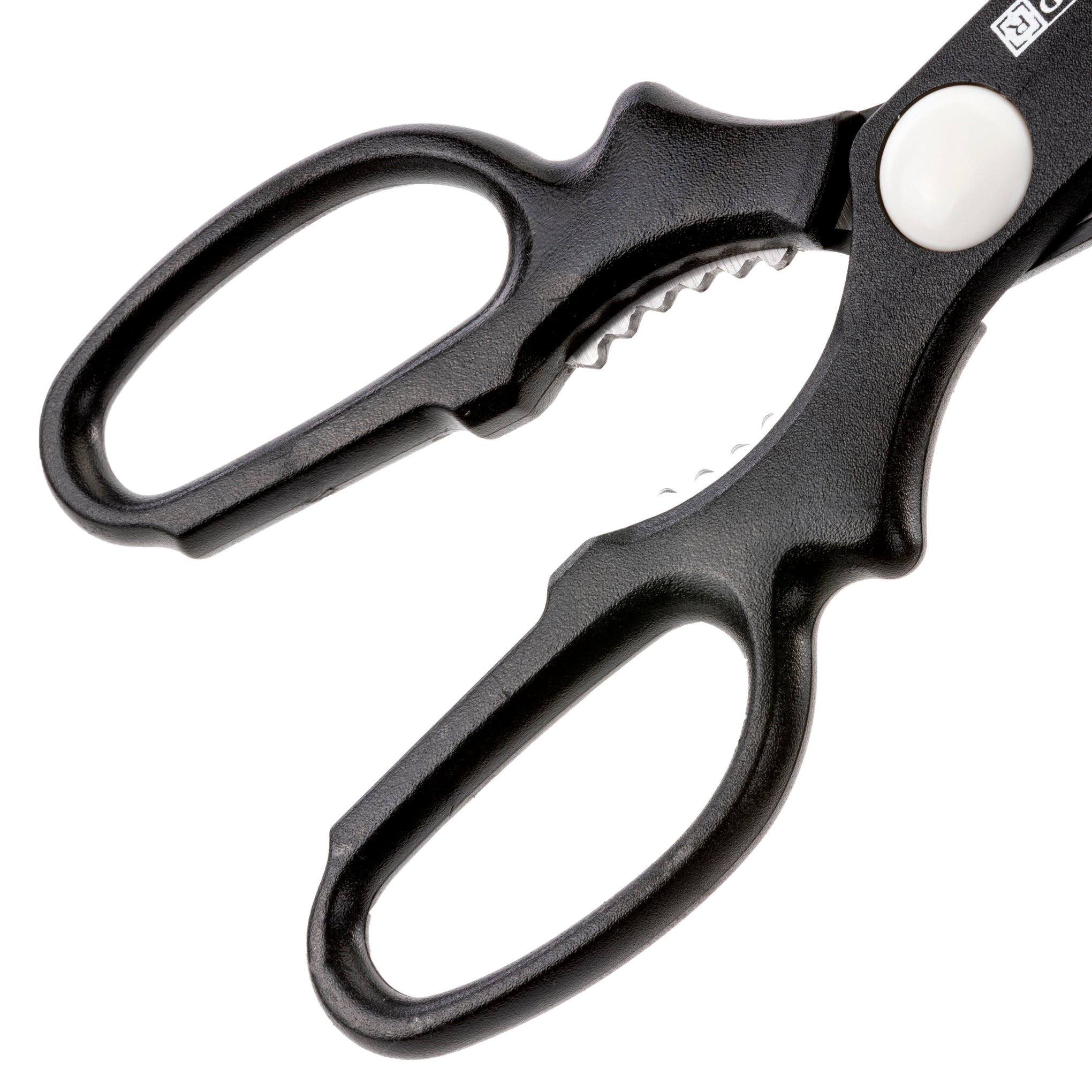Kitchen Scissors Assorted Colour