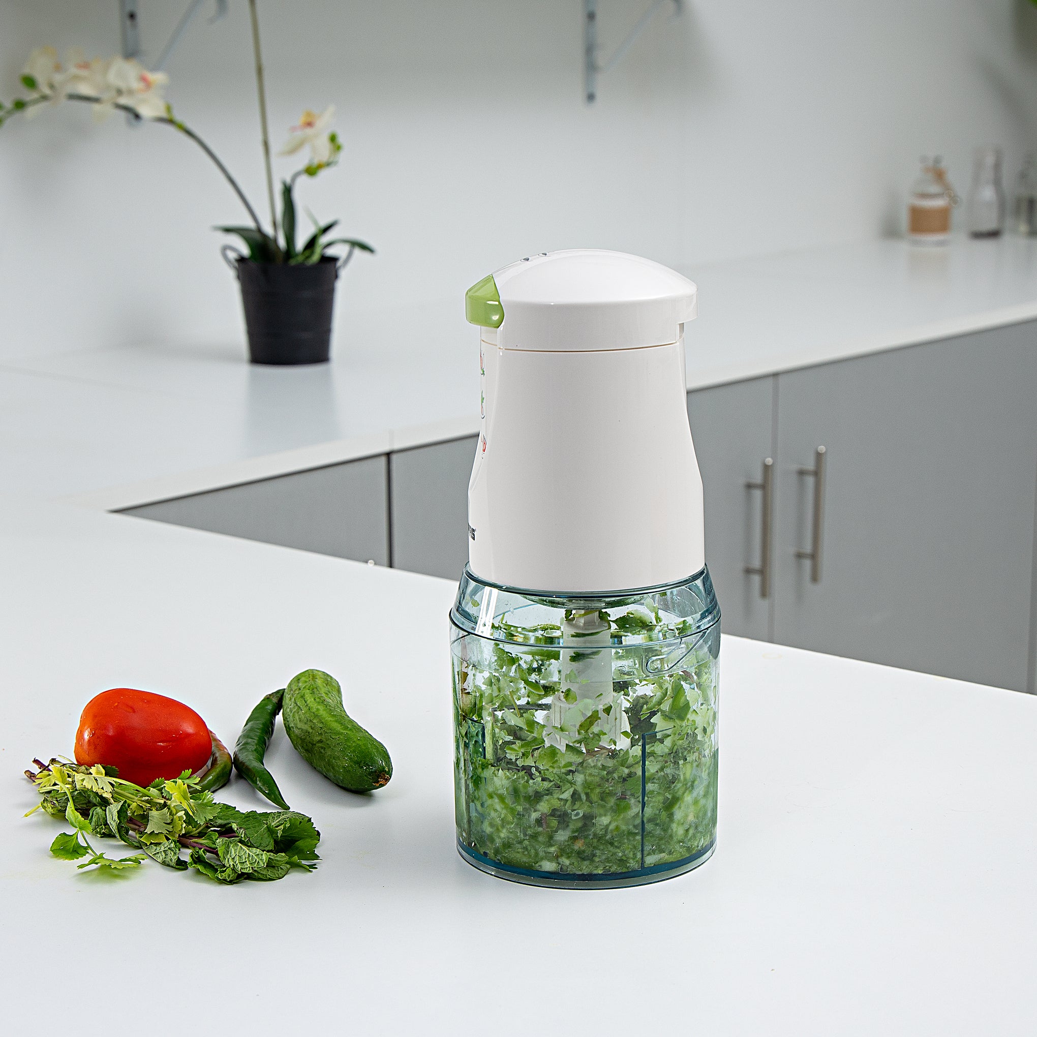 2 Speed Multi Chopper Mini Food Processor With 500ML Jar Capacity, 4 Stainless Steel Blades | Perfect For Blending & Chopping Fruits, Vegetables & More 0.5 L 500 W GC5477N Multicolour