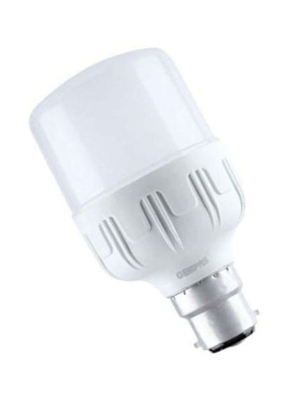 Standard Energy Saving LED Bulb White
