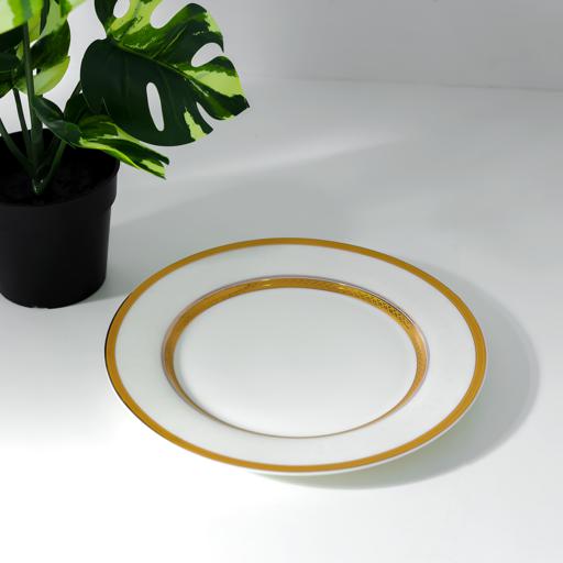 Premium New Bone Plates, 9" Soup Plate, RF11052 | Round Shape Plate with Elegant Golden Border | Ideal for Soup, Desserts, Ice Cream, Dinner, Lunch, Breakfast, Parties & More White