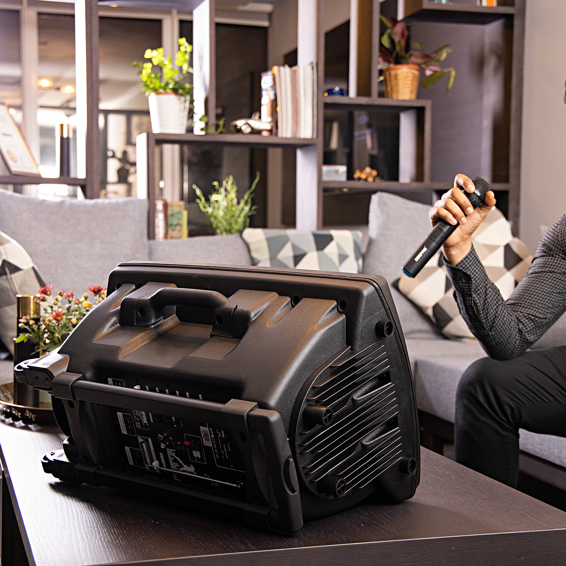 Rechargeable Portable Trolley Speaker System With USB/Bluetooth/SD Card Slots/FM Radio GMS8519 Black