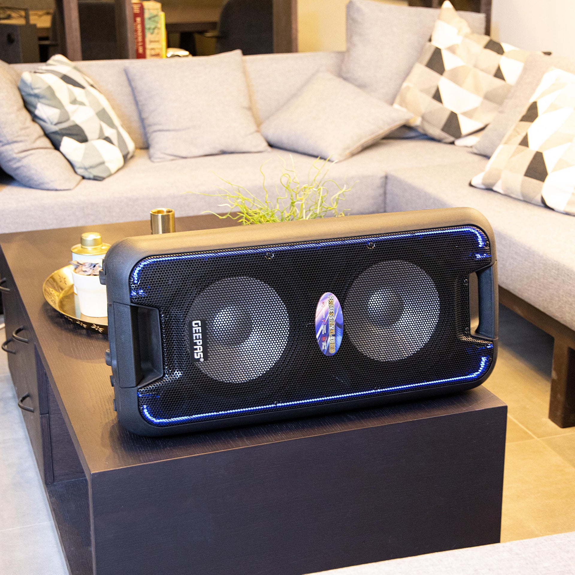 Portable And Rechargeable Professional Speaker- 10 Inch- Wireless Microphones, Battery Rechargeable | 50000 PMPO | Portable Woofer With Trolley Handle Black