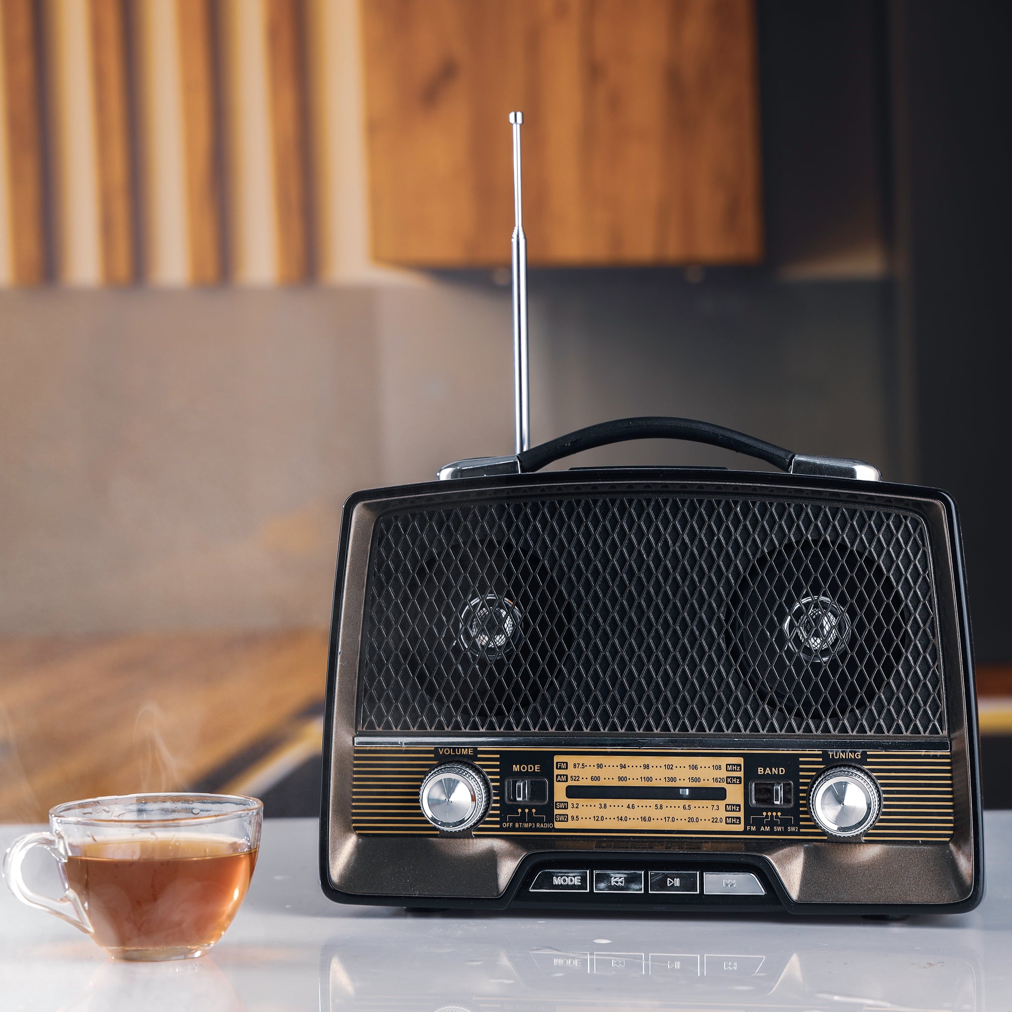 Rechargeable Radio with Bluetooth, AUX Input, BT/FM/MP3/USB/TF Card