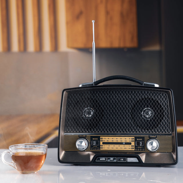 Rechargeable Radio with Bluetooth, AUX Input, BT/FM/MP3/USB/TF Card
