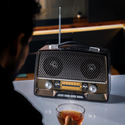 راديو قابل لإعادة الشحن مع بلوتوث، مدخل AUX، يدعم BT/FM/MP3/USB/بطاقة TF