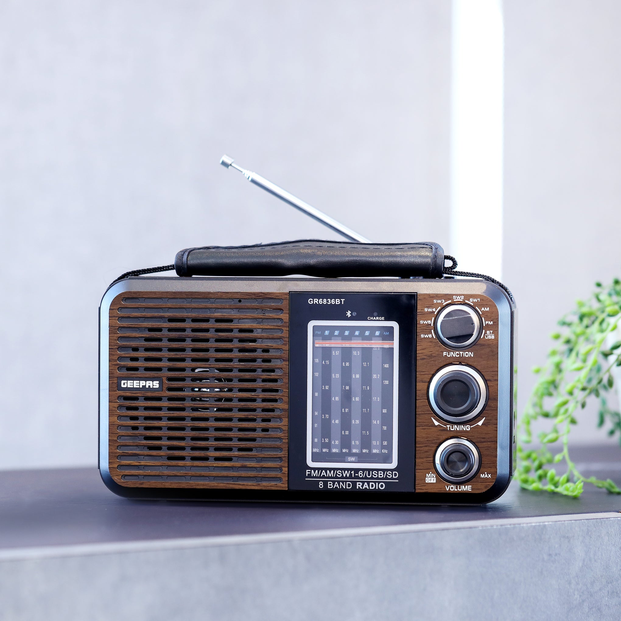 Rechargeable FM Radio With USB - SD Card Slots GR6836 Black