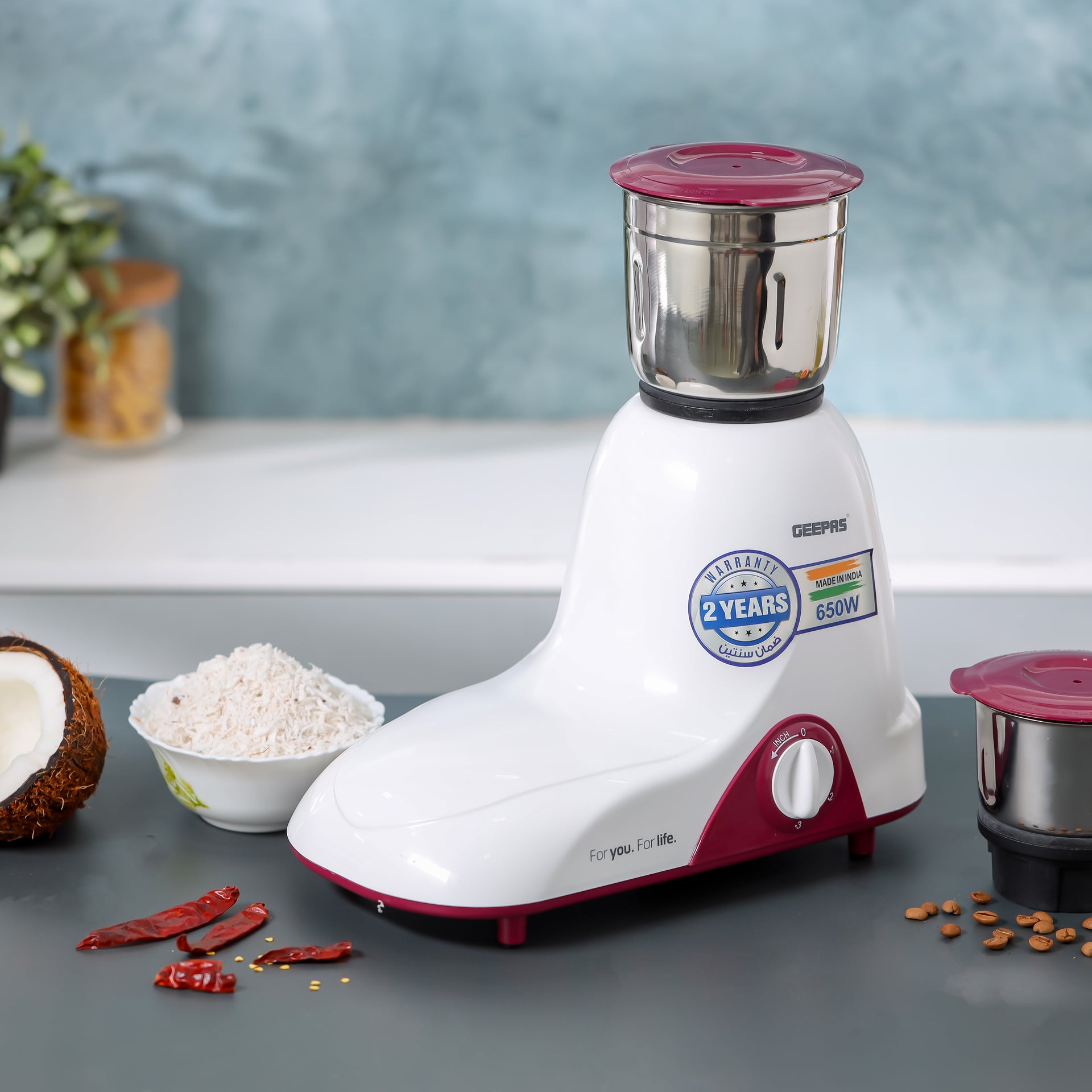 3 In 1 Mixer Grinder With 3 Speed setting with Incher | Heavy duty Motor | Silent and smooth Blender | Shock Proof and Over Heat Protetction 1.2 L 750 W GSB44094 Pista Green
