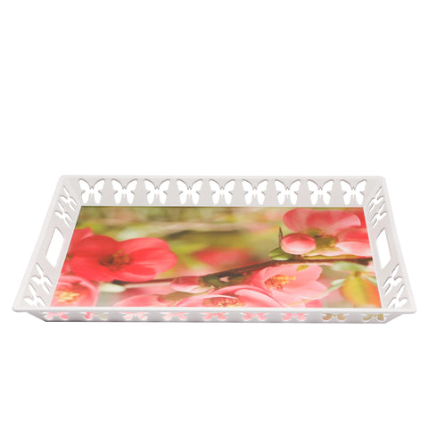 Rectangular Butterfly Tray-Elegant and Sleek Design with Durable and Long-Lasting Construction