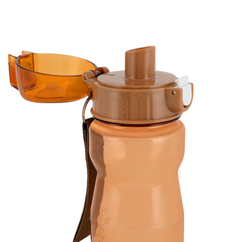550Ml Water Bottle Brown/Tan/Coffee - Assorted 600ml