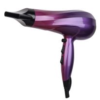 2400 Watt Hair Dryer with 2 Speed Control